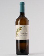 Camaleão Sauvignon 2021 Branco 0.75