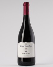 Madre de Água Experimentum Syrah 2018 Tinto 0.75